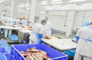 Kazatin, UKRAINE-September 15, 2010: cutting meat slaughterhouse workers in the refrigerator, September 15, 2010 in a meat factory, Kazatin, Ukraine