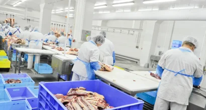 Kazatin, UKRAINE-September 15, 2010: cutting meat slaughterhouse workers in the refrigerator, September 15, 2010 in a meat factory, Kazatin, Ukraine