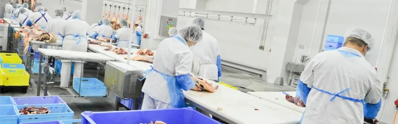 Kazatin, UKRAINE-September 15, 2010: cutting meat slaughterhouse workers in the refrigerator, September 15, 2010 in a meat factory, Kazatin, Ukraine